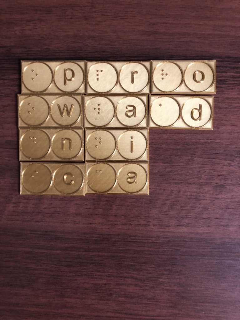 Domino: pojedynczy element składa się z litery Brajlowskiej z lewej strony i, innej, litery czarnodrukowej z prawej. Klocki ułożone są w czterech rzędach, czarnodrukowe litery układają się w napis Prowadnica.